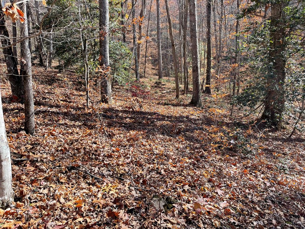 70J Ash Branch Drive #70J, HAYESVILLE, North Carolina image 1
