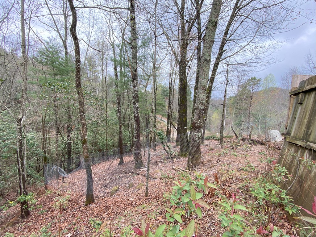254 Indian Hills Dr, MURPHY, North Carolina image 29
