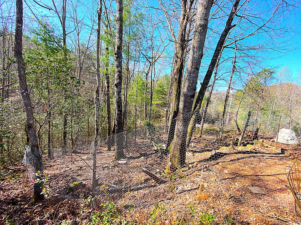 254 Indian Hills Dr, MURPHY, North Carolina image 43
