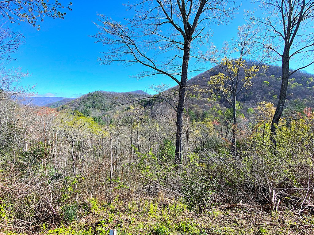 254 Indian Hills Dr, MURPHY, North Carolina image 27