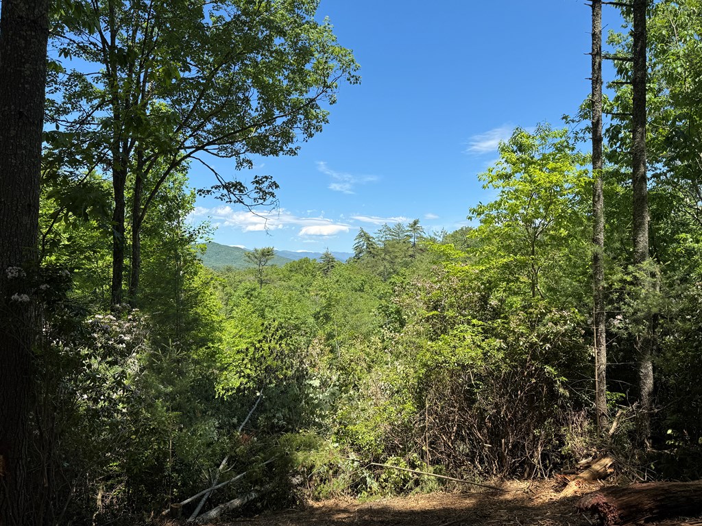 79 Forrest Edge Drive #41,42, MURPHY, North Carolina image 4