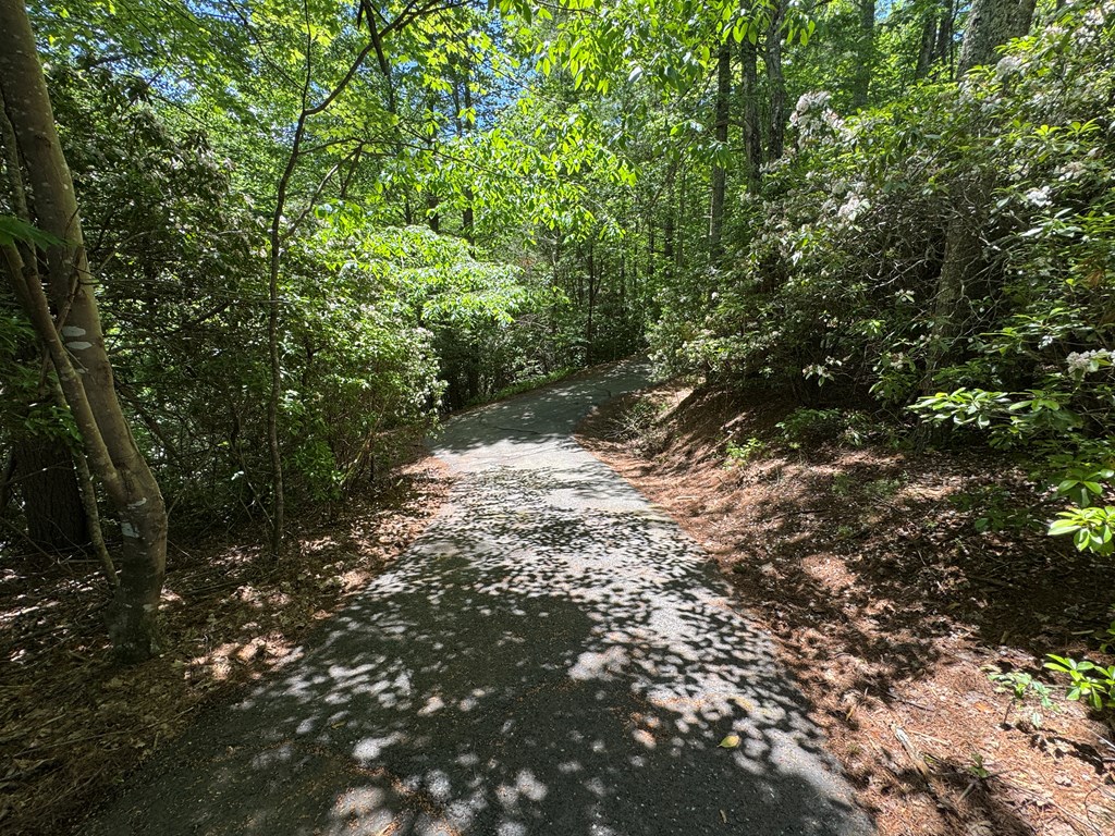 79 Forrest Edge Drive #41,42, MURPHY, North Carolina image 12