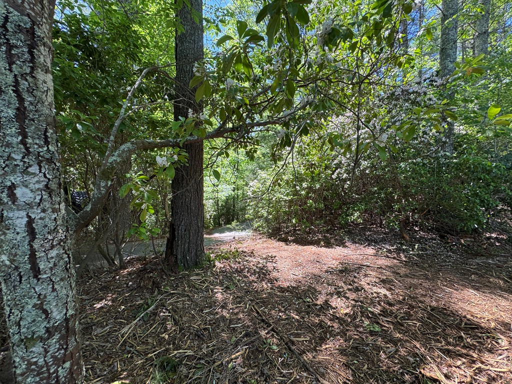 79 Forrest Edge Drive #41,42, MURPHY, North Carolina image 8