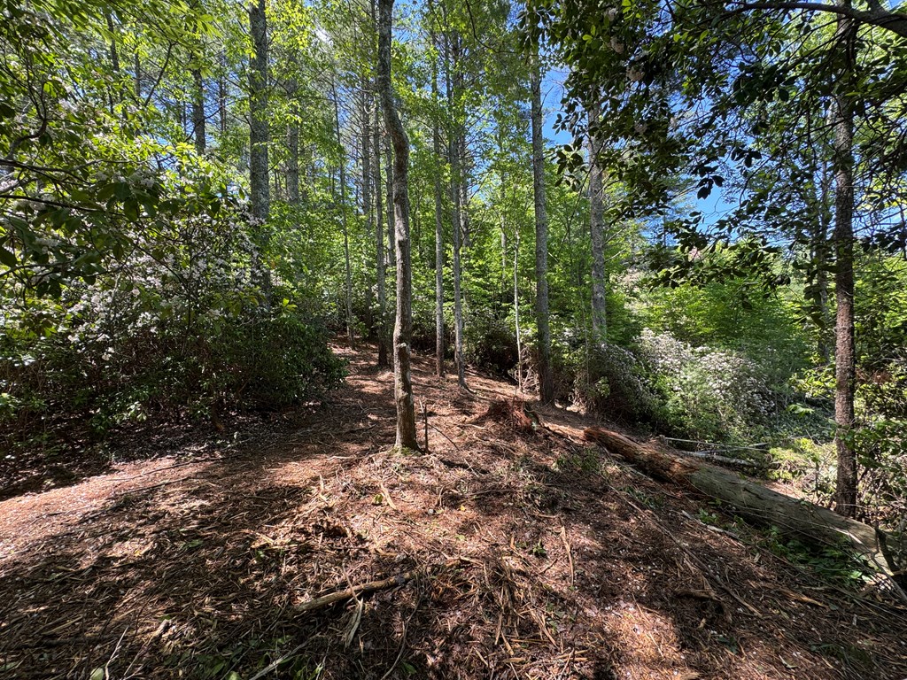 79 Forrest Edge Drive #41,42, MURPHY, North Carolina image 9