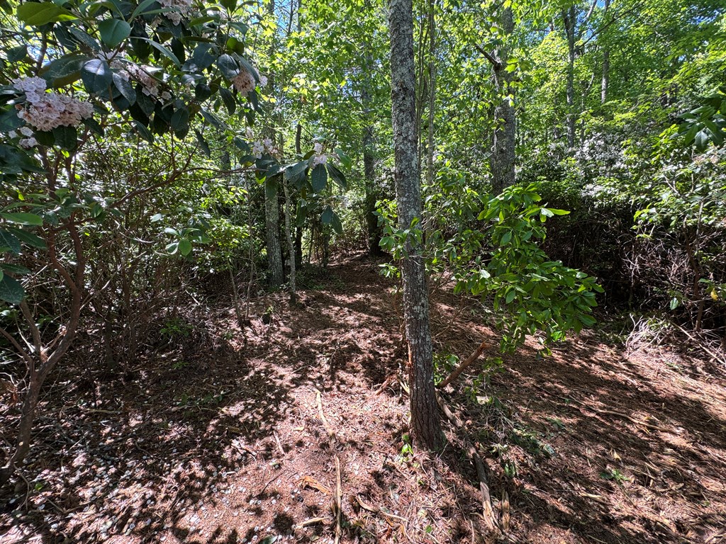 79 Forrest Edge Drive #41,42, MURPHY, North Carolina image 5