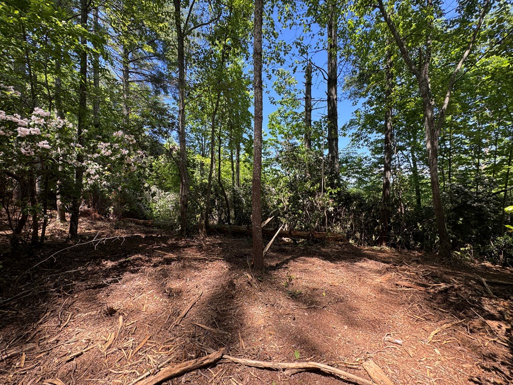 79 Forrest Edge Drive #41,42, MURPHY, North Carolina image 11
