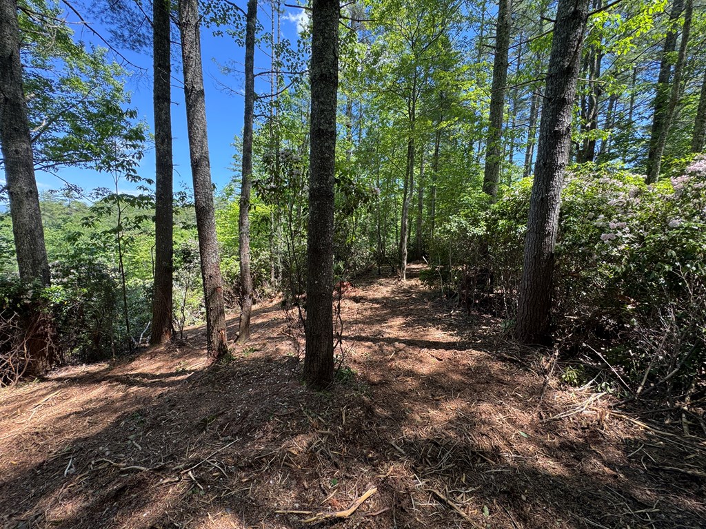 79 Forrest Edge Drive #41,42, MURPHY, North Carolina image 6
