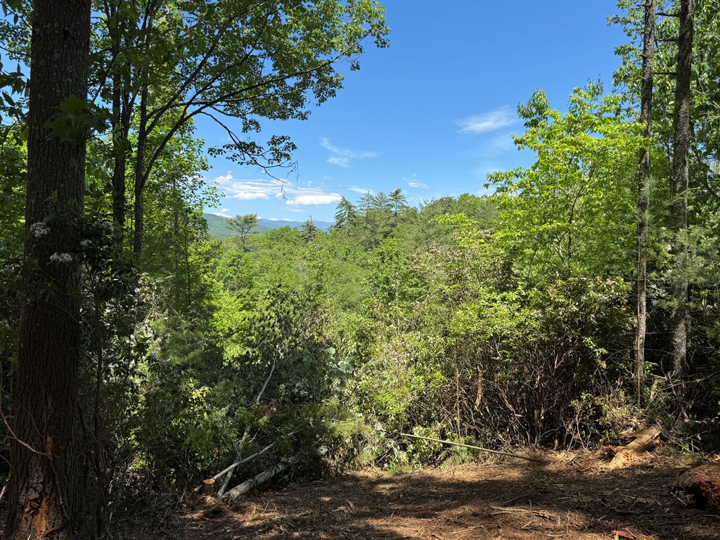 79 Forrest Edge Drive #41,42, MURPHY, North Carolina image 3