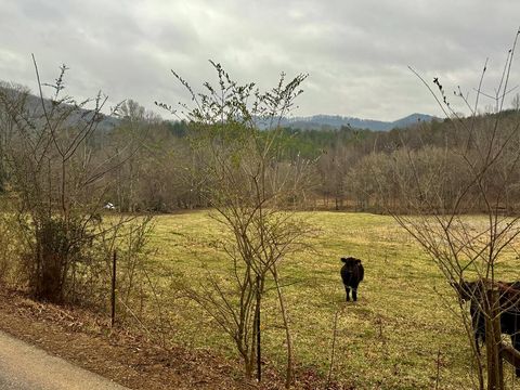 Vacant Land For Sale - 3754 Highway 68 S<br/> TURTLETOWN, TN 37391