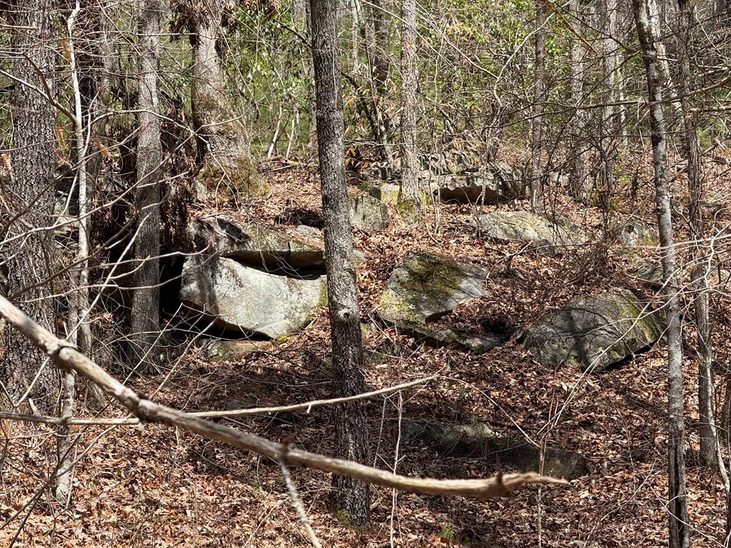 Morrow Rd, MURPHY, North Carolina image 1