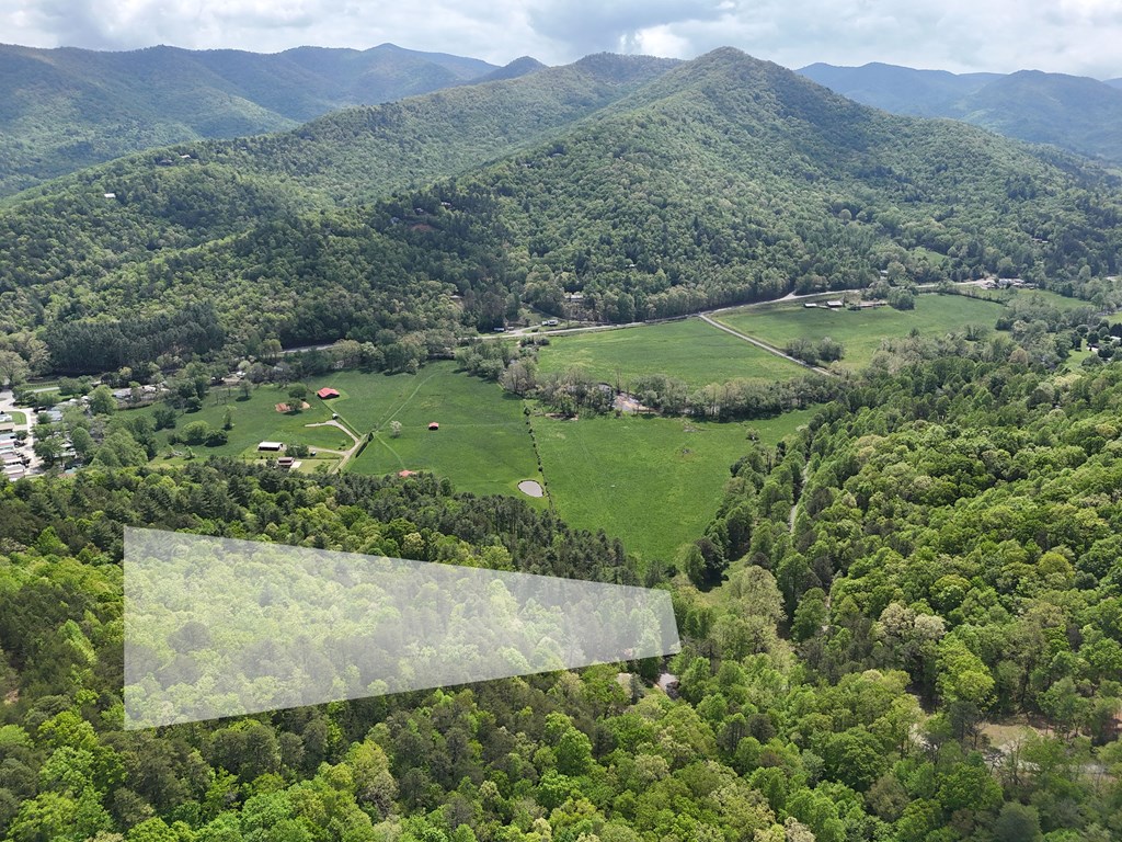 Tract 3C Riverside Drive #III-C, HIAWASSEE, Georgia image 15