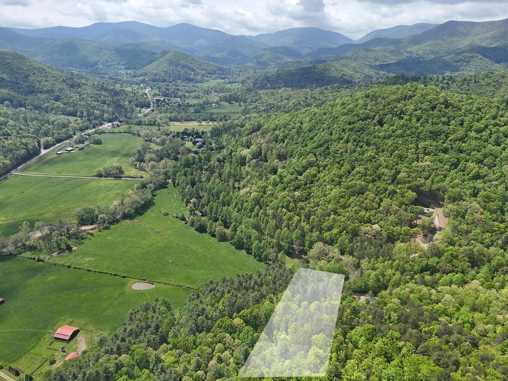 Tract 3C Riverside Drive #III-C, HIAWASSEE, Georgia image 14