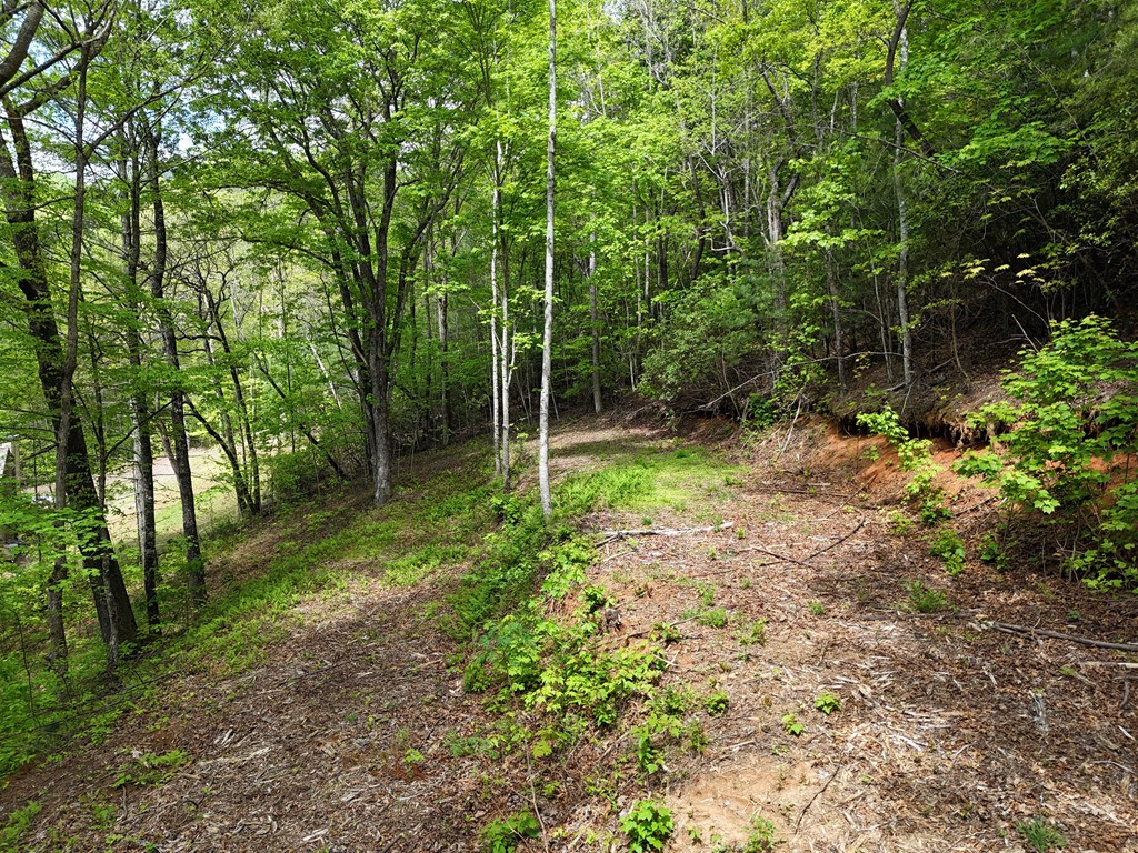 Tract 3C Riverside Drive #III-C, HIAWASSEE, Georgia image 11