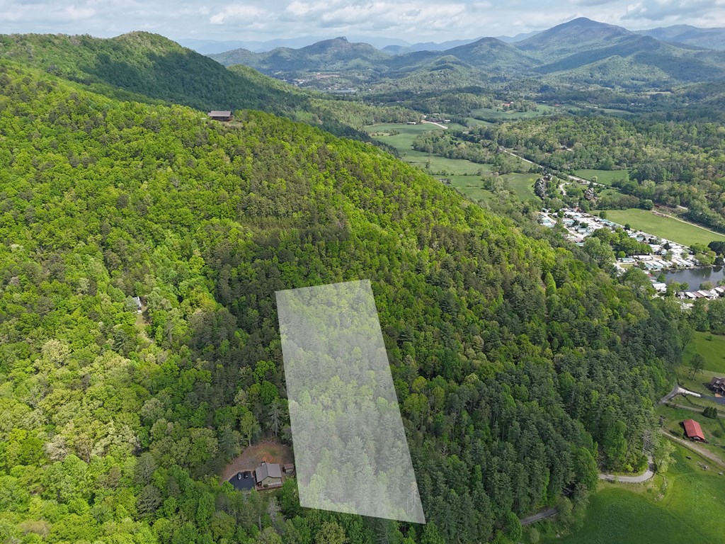 Tract 3C Riverside Drive #III-C, HIAWASSEE, Georgia image 3