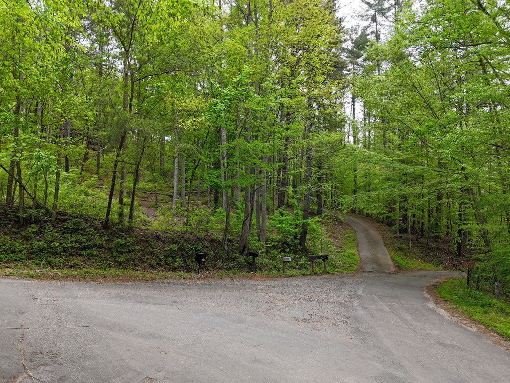 Tract 3C Riverside Drive #III-C, HIAWASSEE, Georgia image 2
