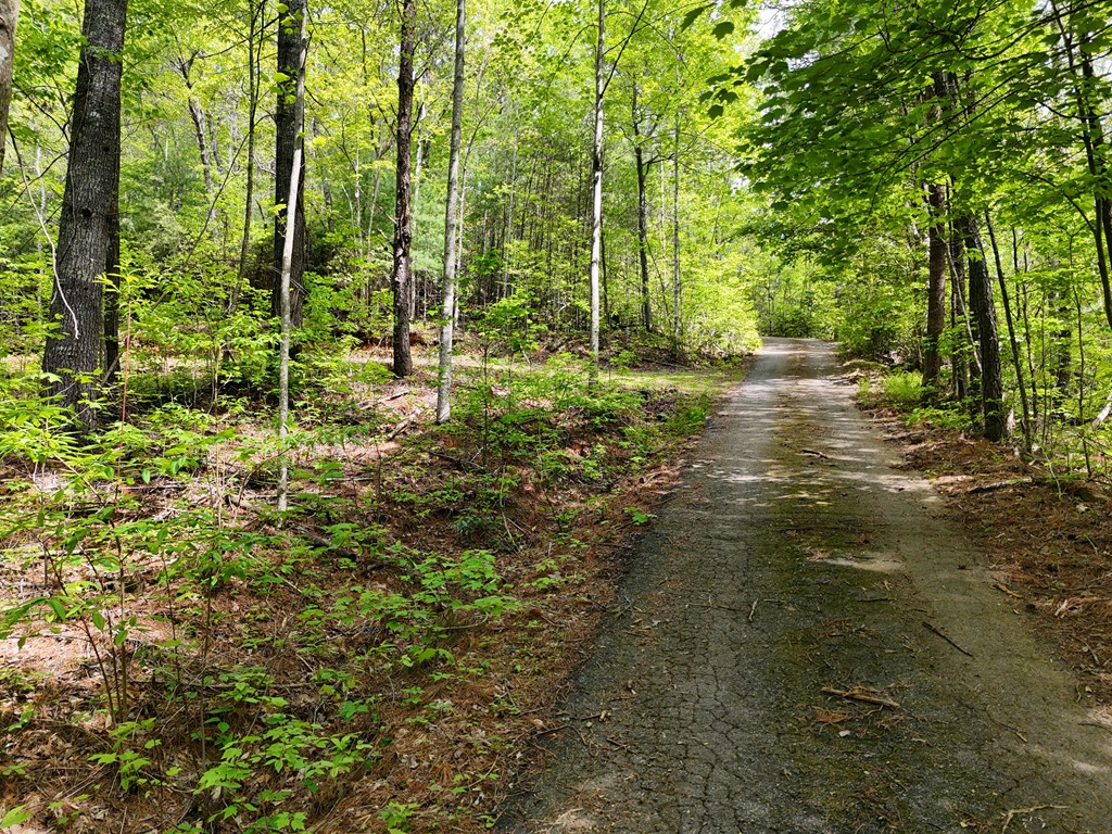 Tract 3C Riverside Drive #III-C, HIAWASSEE, Georgia image 9
