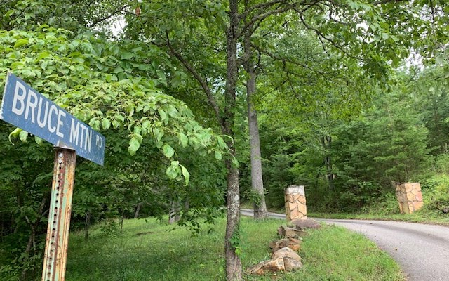 Lot 18 Bruce Mountain #18, BLAIRSVILLE, Georgia image 3