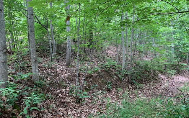 Lot 18 Bruce Mountain #18, BLAIRSVILLE, Georgia image 12