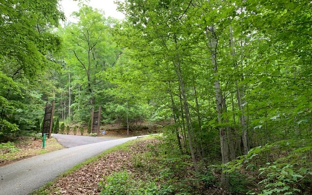 Lot 18 Bruce Mountain #18, BLAIRSVILLE, Georgia image 4