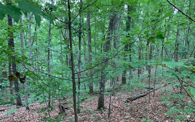 Lot 18 Bruce Mountain #18, BLAIRSVILLE, Georgia image 16