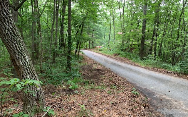 Lot 18 Bruce Mountain #18, BLAIRSVILLE, Georgia image 5