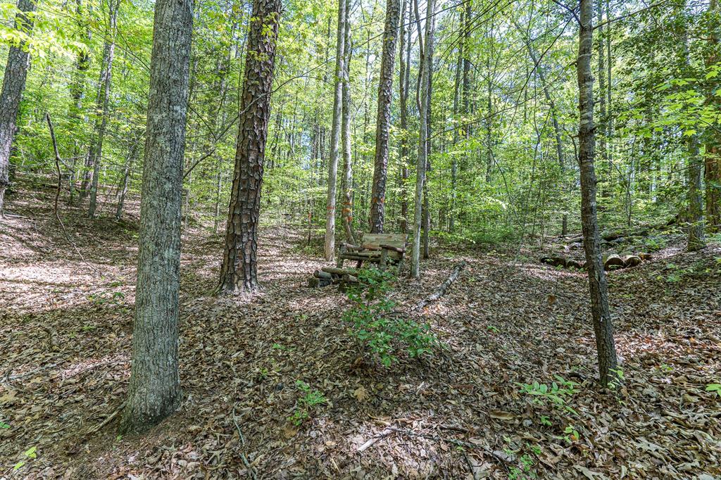 421 Sleepy Hollow, MURPHY, North Carolina image 33