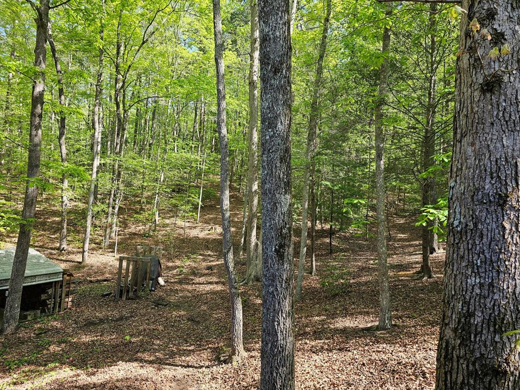 421 Sleepy Hollow, MURPHY, North Carolina image 43