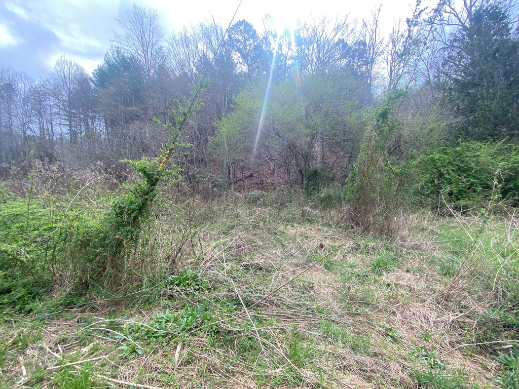 TBD Fall Branch, MURPHY, North Carolina image 7