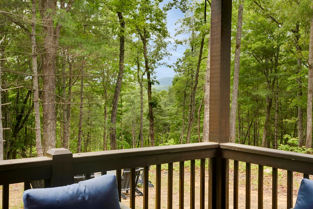 1521 Ridge Drive, MORGANTON, Georgia image 18