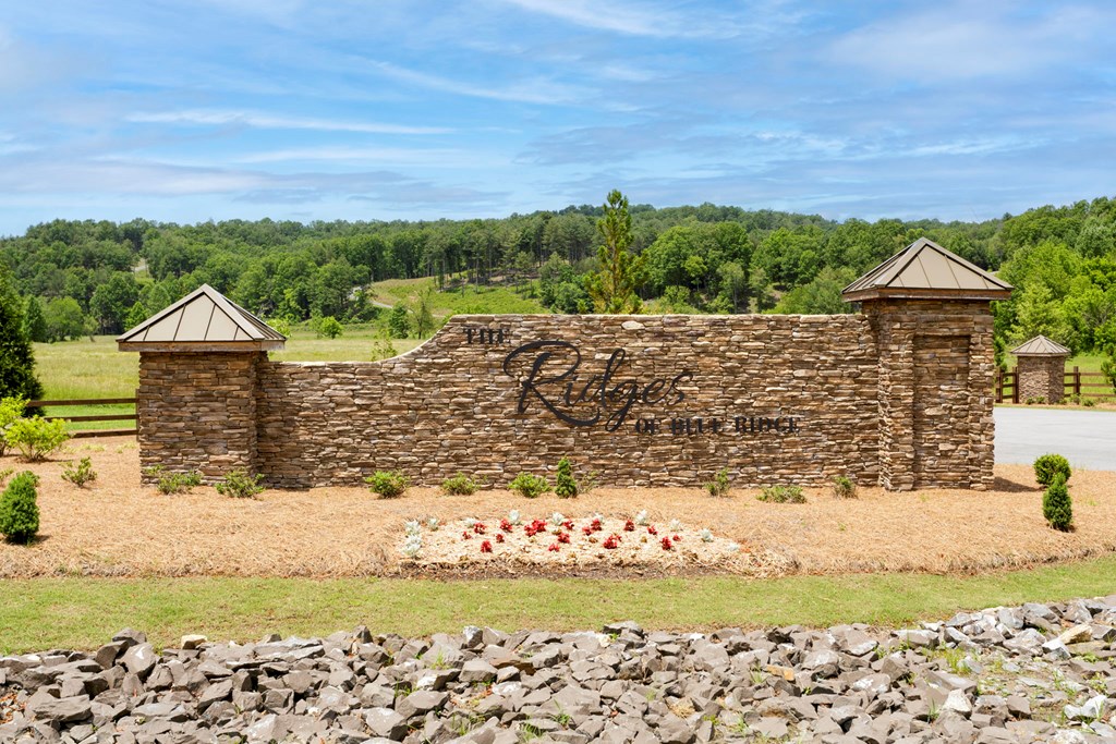 1521 Ridge Drive, MORGANTON, Georgia image 3