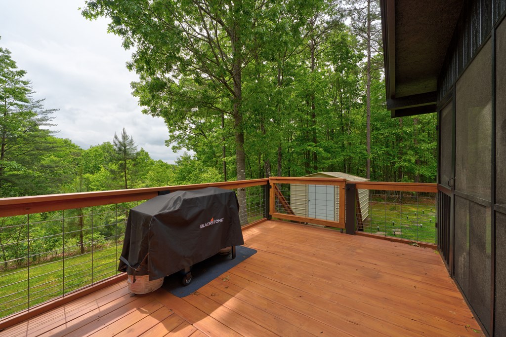 94 Rhinas Trail, MINERAL BLUFF, Georgia image 36