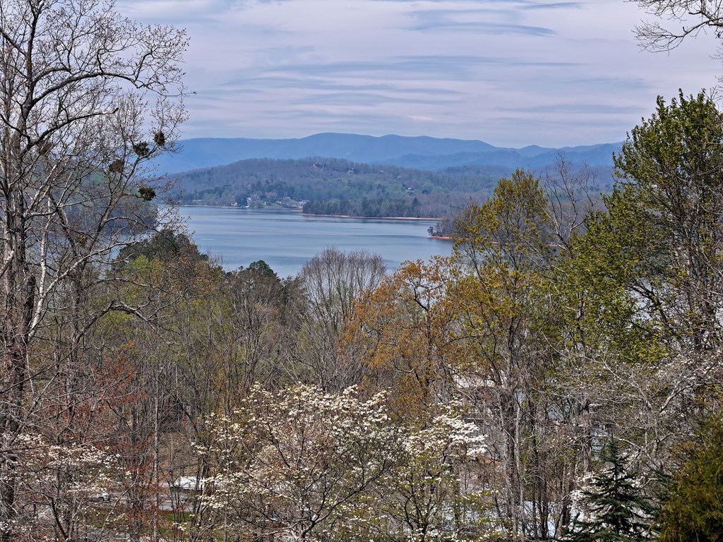 Lot 12 Chatuge Cove Drive #12, HAYESVILLE, North Carolina image 11