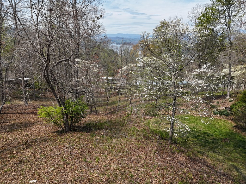 Lot 12 Chatuge Cove Drive #12, HAYESVILLE, North Carolina image 2