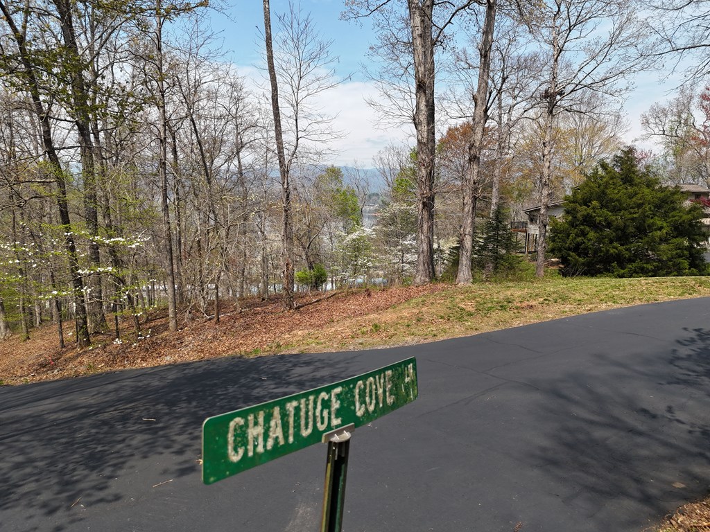 Lot 12 Chatuge Cove Drive #12, HAYESVILLE, North Carolina image 10