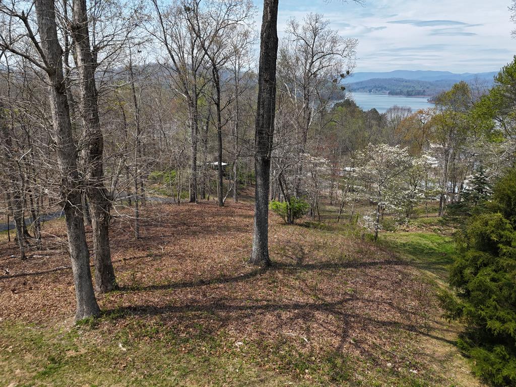 Lot 12 Chatuge Cove Drive #12, HAYESVILLE, North Carolina image 1