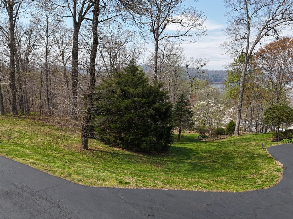 Lot 12 Chatuge Cove Drive #12, HAYESVILLE, North Carolina image 3