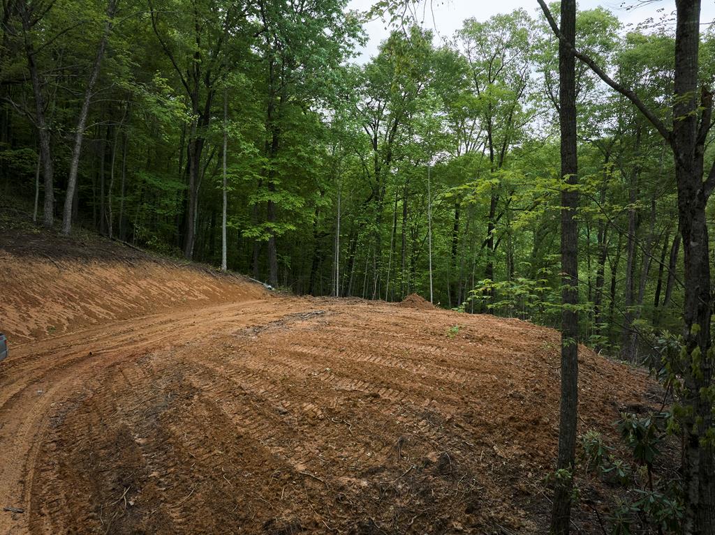 Lot 8 Blackberry Bend #8, BRYSON CITY, North Carolina image 23
