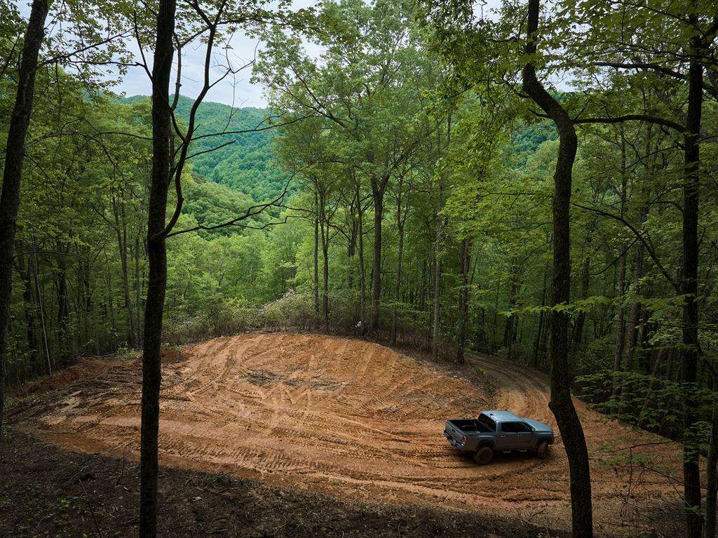 Lot 8 Blackberry Bend #8, BRYSON CITY, North Carolina image 4