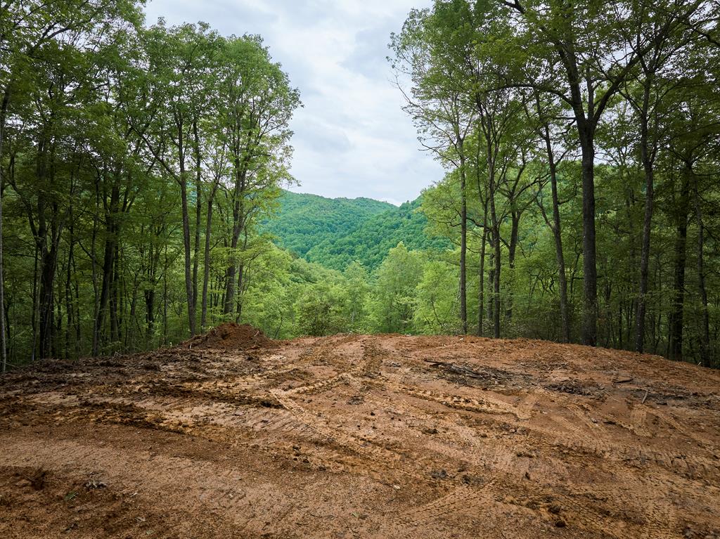 Lot 8 Blackberry Bend #8, BRYSON CITY, North Carolina image 22