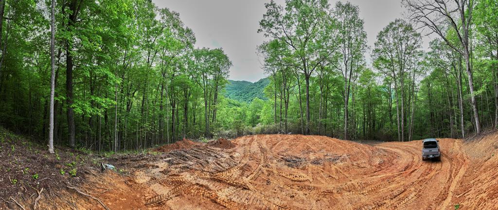 Lot 8 Blackberry Bend #8, BRYSON CITY, North Carolina image 10