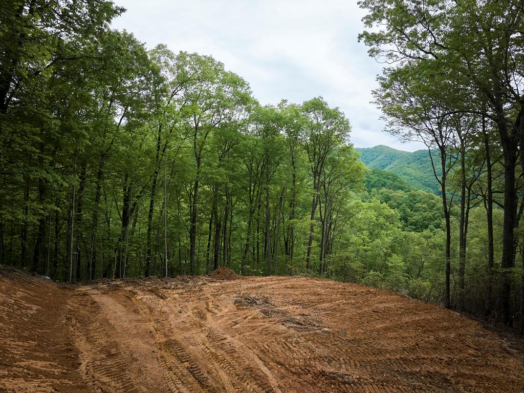 Lot 8 Blackberry Bend #8, BRYSON CITY, North Carolina image 5
