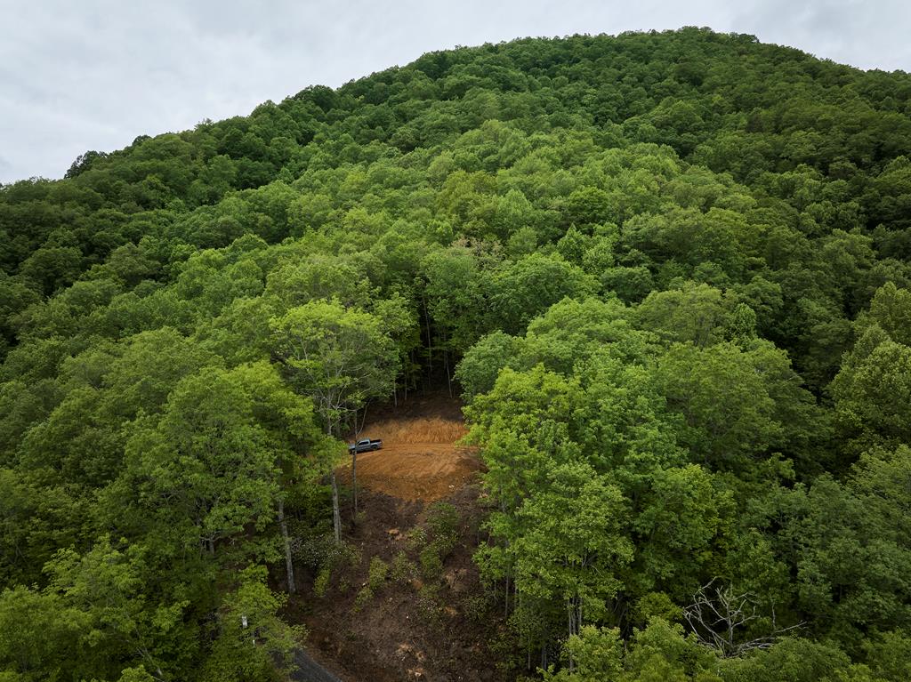 Lot 8 Blackberry Bend #8, BRYSON CITY, North Carolina image 13