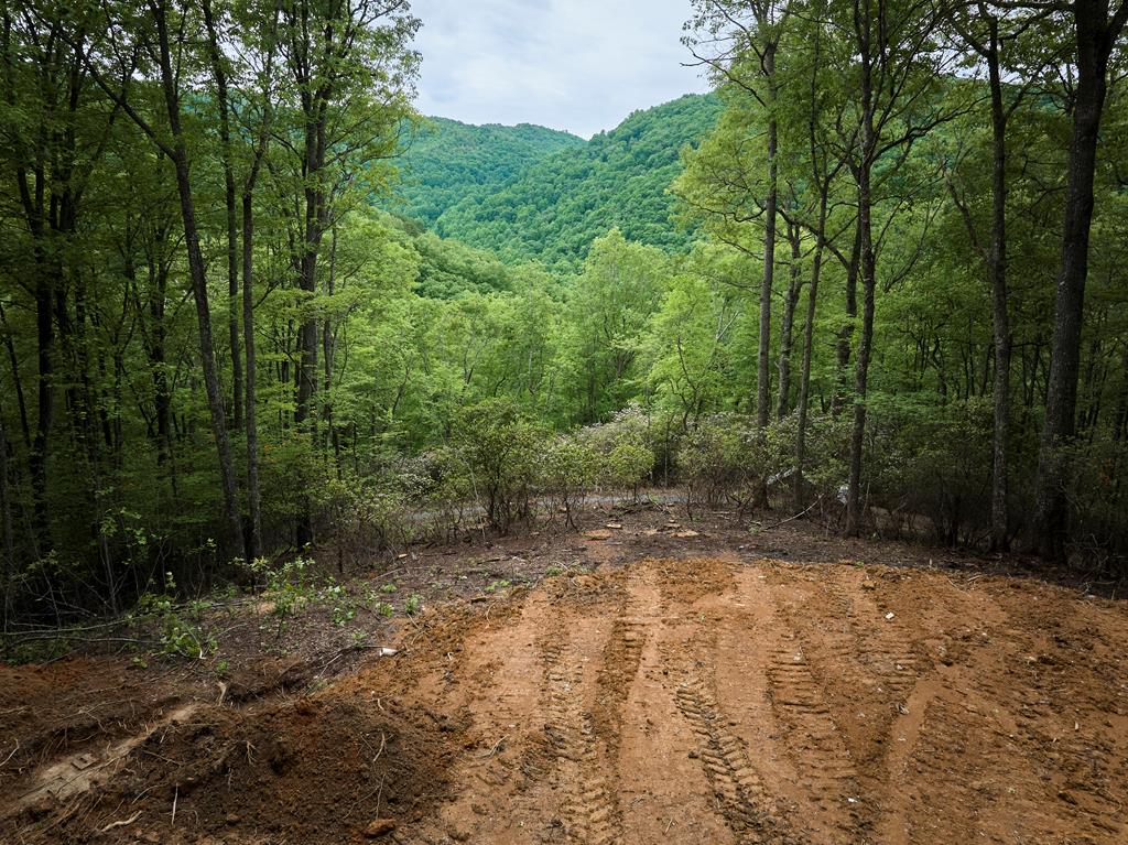 Lot 8 Blackberry Bend #8, BRYSON CITY, North Carolina image 9