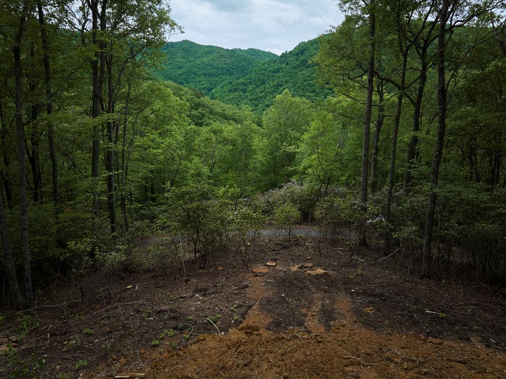 Lot 8 Blackberry Bend #8, BRYSON CITY, North Carolina image 20