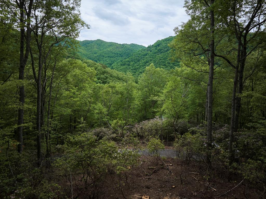 Lot 8 Blackberry Bend #8, BRYSON CITY, North Carolina image 21