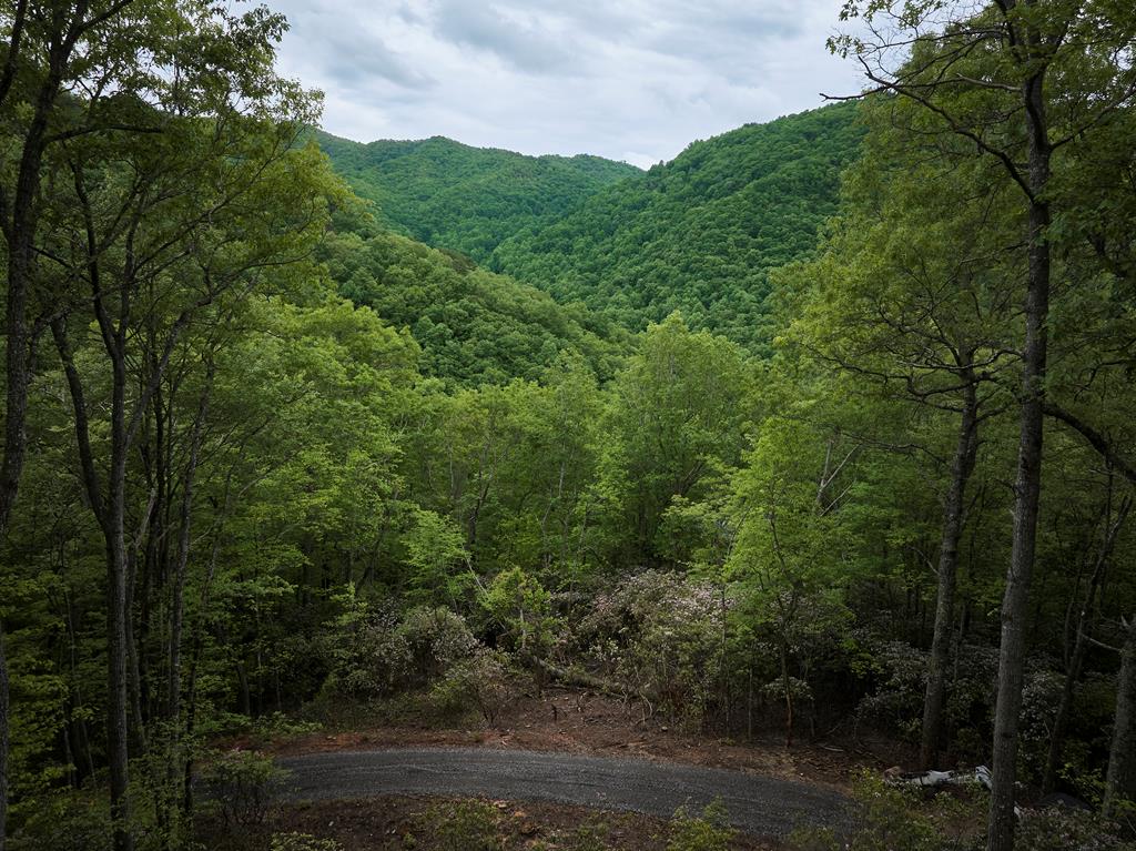 Lot 8 Blackberry Bend #8, BRYSON CITY, North Carolina image 18