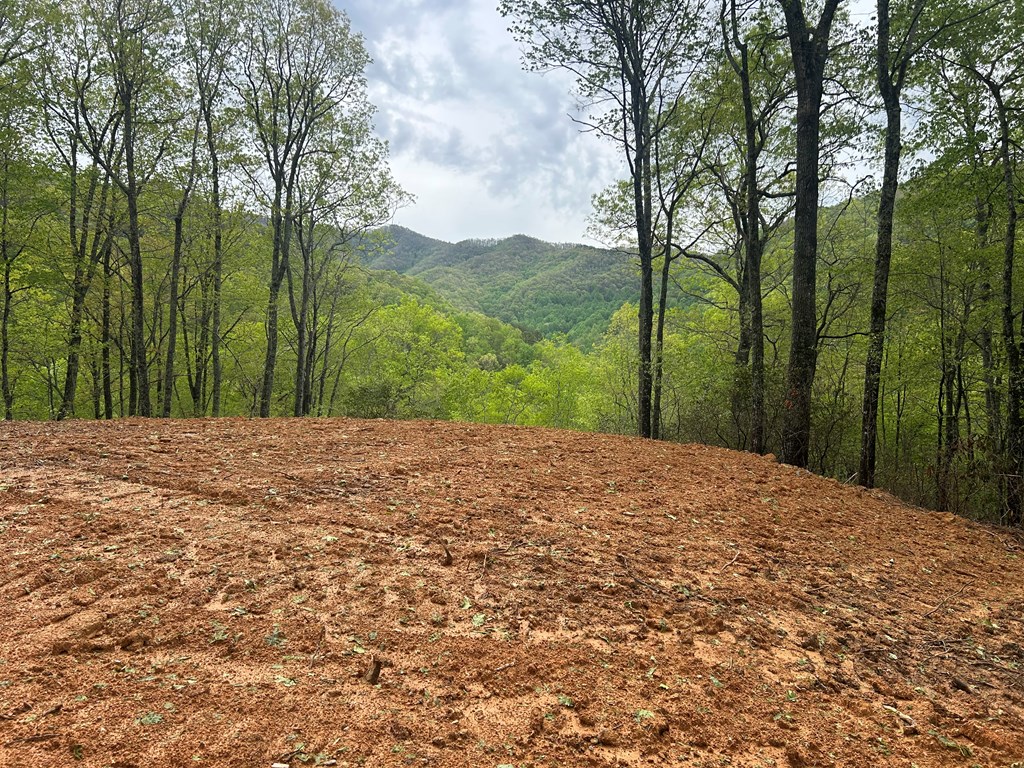 Lot 8 Blackberry Bend #8, BRYSON CITY, North Carolina image 2