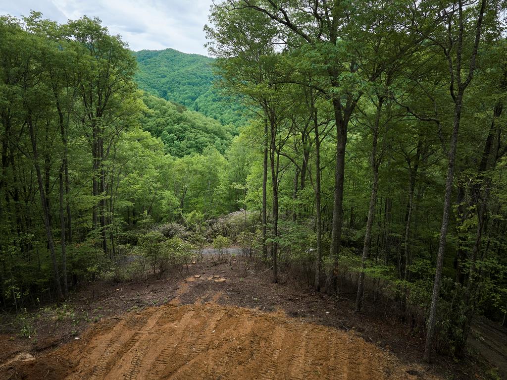 Lot 8 Blackberry Bend #8, BRYSON CITY, North Carolina image 8