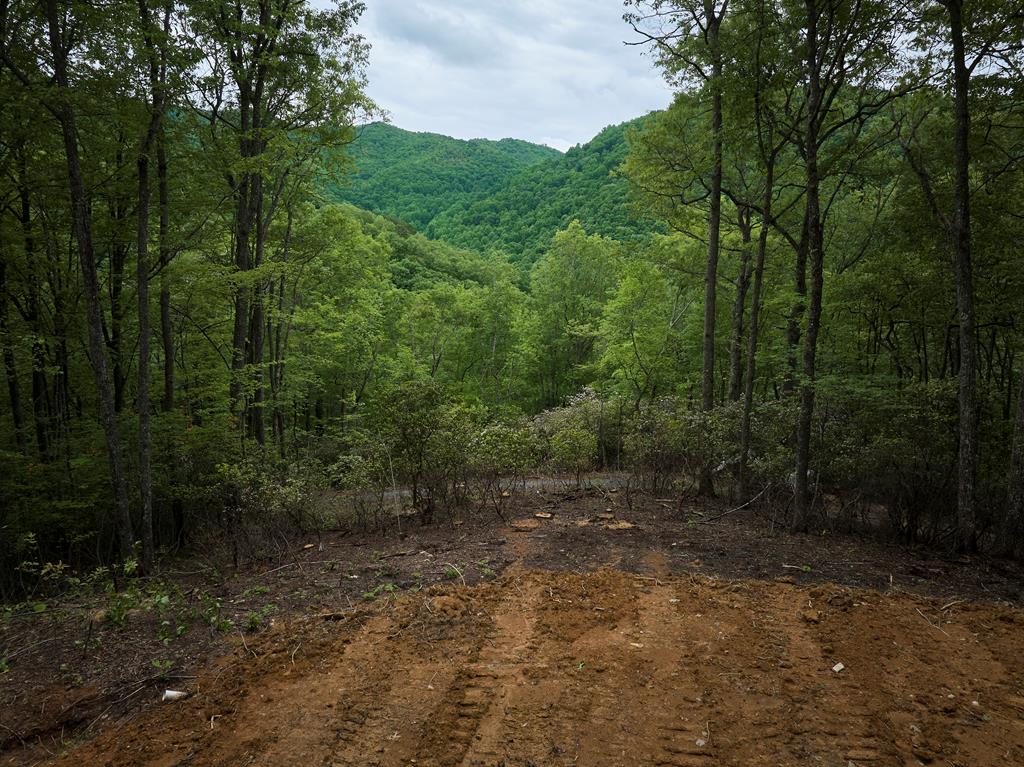 Lot 8 Blackberry Bend #8, BRYSON CITY, North Carolina image 19