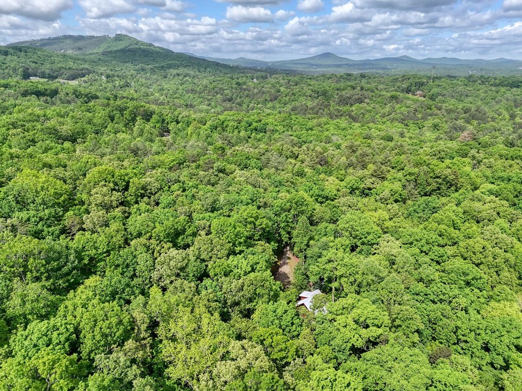 370 Lakepoint Drive, BLAIRSVILLE, Georgia image 50